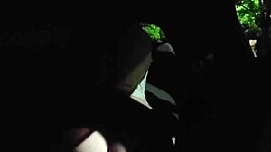 Homemade Couple Fucks With Big Cock