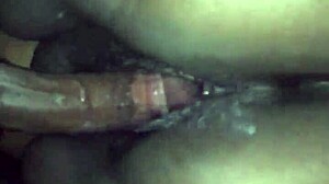 Big Booty Mami Doggy 😈