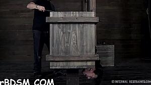 the extreme t excites the hottie with hardcore toys and bdsm play