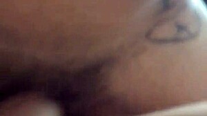 Tentando arrumar as malas part1 millyslascy