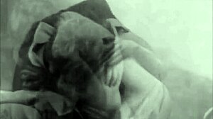 vintage erotica collection one