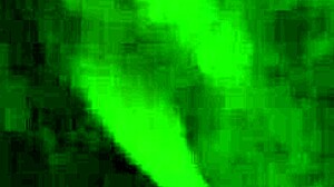 give me that sloppy ebony head?