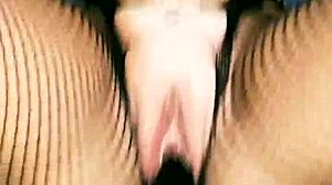 Watch mireladelicia strip and toy her pussy?