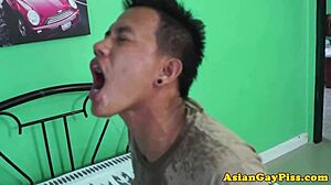 Hei, haluutko nähdä nämä aasialaiset twinks villiintymässä pissimisellä ja bareback-aktiolla?