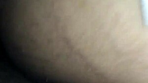 Where Creamy Pussy Amateurs