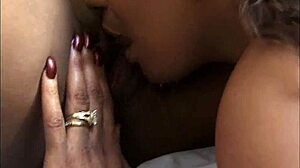 Juicy ebony asses and wet pussies in wild play