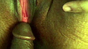 Amazing big cock strokes fat bbw pussy!