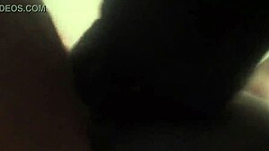 Amazing big cock strokes fat bbw pussy!