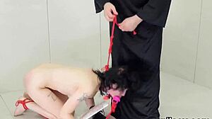 Kinky cutie undergoes brutal anal therapy in asylum