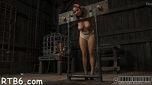 Lusty and wild whores are stuffed inside a miniature cage, getting dominated