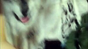 A Ella Le Encanta Que Me La Coja En 4