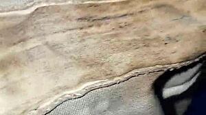 Neighbor's dirty panties found in the laundry 😏