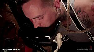 i punk rock goddess humiliate slave