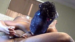 Shae Devours Jay's Dick with Intense Emotion - Part 1