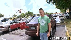 Free Gay Photos From Amateur Collection