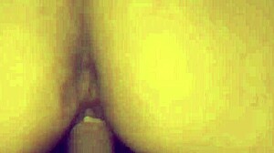 Ricos Gemidos Sounds