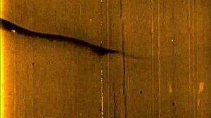 Vintage erotic drawing features retro anime comic hentai with antique cartoon style