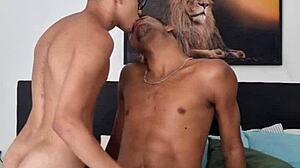 White Guy Called To Study By Black Lover, Gets His Ass Fucked