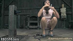 Check these babes' hot assets