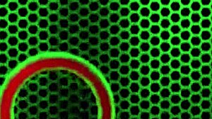 Sexy teen Shyla Ryder takes it deep in anal action! 🔥