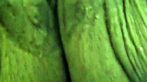 Playing With Mature Ebony BBW Pussy