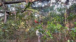 did you see that scarecrow getting assfucked outdoors on halloween?