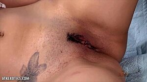 i can't stop riding my toy till i hit climax, lilly evans here