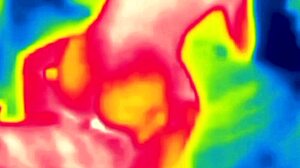 i'm fuckin with my girlfriend's big ass and makin her cum with my tongue