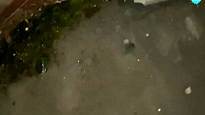 Street Girl Pushing Items Up Her Pussy While On The Run Mature Milf!