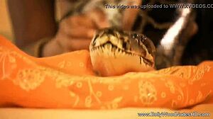 Oriental Babe Teases With Glamorous Nude Display