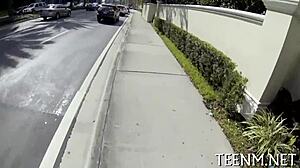 Baring nice-looking brooke wylde natural tits