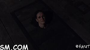 Intense BDSM Porn with Rough Fucking and Blowjobs