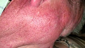 my partner sucking my cock so good