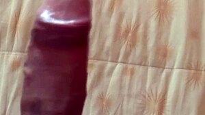 Ο θετός γιος κλέβει θρίλερ και τελειώνει στον μεγάλο κώλο της