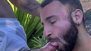 Cruising brazilian beaches?