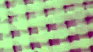 Do you wanna see my asshole up close for ya - compilation claudia bavel -