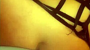 i love milfycalla's cuckold blowjob shorts