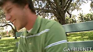 hot homo studs fucking hard!