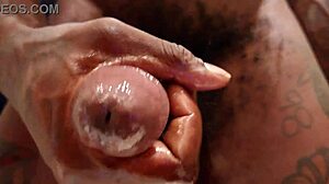 your favorite pornstar hallelujah johnson masturbates solo