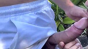 Cruising brazilian beaches?