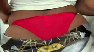 Come join me for a wild ride in close-up action.