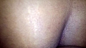 curvy ebony chanel b strips teases