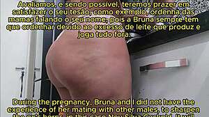brazilian bruna silva getting knocked up as hotwife