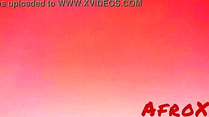 Pegou a putinha no carnaval e comeu no meio da rua