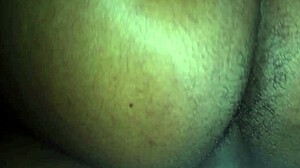 curvy ebony chanel b strips teases