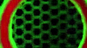 vicky vette and carmen valentina explore self-pleasure with eggs