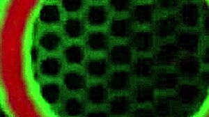 Young Blonde Milf Mandy Rhea In Bed With Rome Major While Hubby Is Away