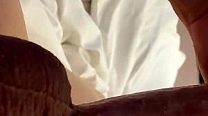 Roxi Reynolds casually blowing a huge old cock