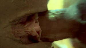 Tasty Texas In Lingerie Fucked Doggy