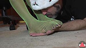 worship my green fishnets feet, amateurs in femdom nylon domination